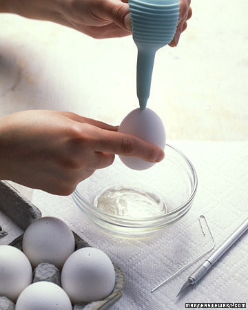 undeveloped eggs in the ovaries after tubes tied undeveloped eggs in the ovaries after tubes tied