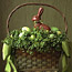 Clover Basket