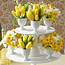 Tiered Bouquets