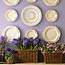 Spring Bulbs Basket
