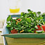 Watercress, Pink Gra...