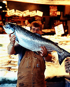 Fish, Catch of the Day