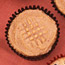 Peanut Butter Cupcakes