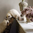 The Happy Indoor Cat