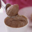 Chocolate Ice Cream