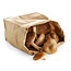 Long-Lasting Mushrooms