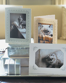 Photo Holiday Cards: Martha Stewart
