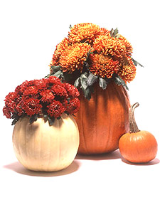 Pumpkin Cachepots Pumpkin Cachepots: Martha Stewart