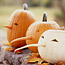 Pumpkin Ideas