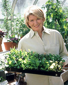 Seed Starting 101