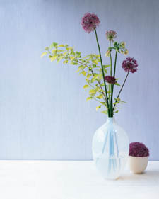 Astonishing Alliums