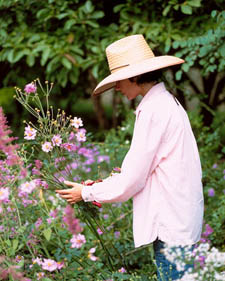 Reap the Benefits of Gardening
