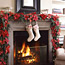 Poinsettia Projects