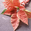 Poinsettia Pouch