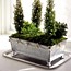 Windowbox Planter