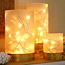 Twinkling Vases