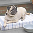 Simple Pet Pillow