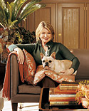 Tips for Pet Owners