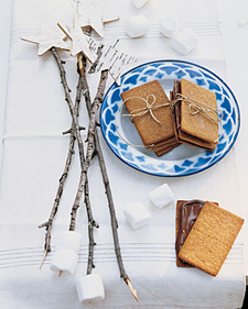 Uncle Scott's S'Mores