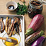 Grilled Eggplant