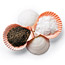 Scallop Shell Dishes