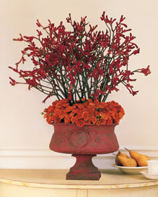 From the Garden: Urns