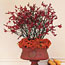 From the Garden: Urns