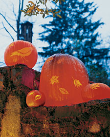 The Second Annual Great Pumpkin Contest