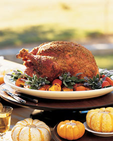 Salt-and-Pepper Grilled Turkey