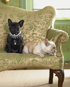 Diamond Dog Necklaces