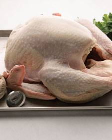 Food Safety, Fallacies, and Facts