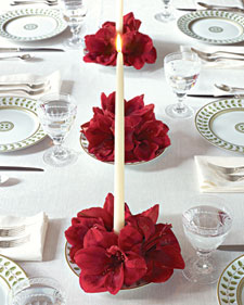 Amaryllis Candle Centerpiece