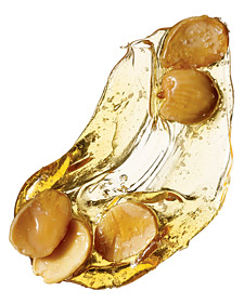 Marcona Almond and Fleur de Sel Pralines