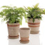 More Ideas: Garden Crafts