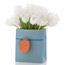 Fancy Flowers