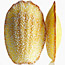 Madeleines