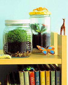 Shelf Life