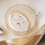 Cooked Custard Eggnog