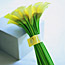 Calla Lilies