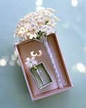 Bouquets: Stephanotis and the Victorian Rose