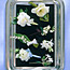 Bouton-ette Your Bridesmaids