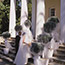 Veiled Topiaries