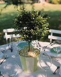 Beach Bucket Centerpieces