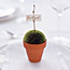 Potted Place Card