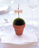 Potted Place Card