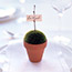 Potted Place Card