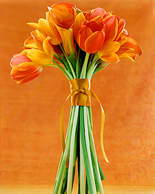 tulips Courtesy Martha Stewart Weddings