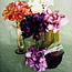 Calla Lilies and Tulips