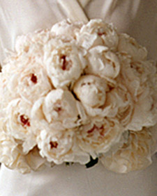 Dress Details