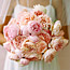Blushing Blooms